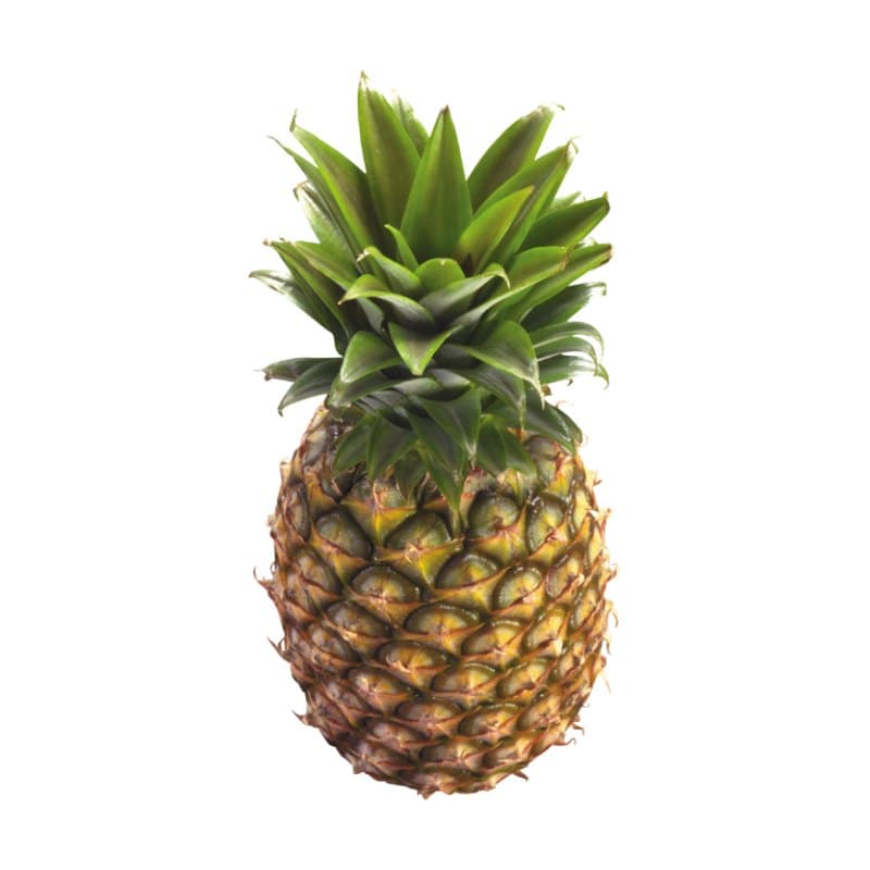 Ananas de Buea